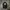 COMME des GARÇONS Y2K Luxury Bag Pria black photo 1