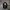 COMME Des GARÇONS Y2K Luxury Bag Pria Black