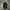COMME des GARÇONS Y2K Luxury Bag Pria black photo 2