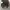 Lacoste Casual Hat Pria green gray photo 5
