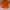 Minimalist Corset Wanita orange black photo 5