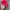 Chase Nascar Y2K Skater Hat Pria blue red photo 2