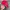 Chase Nascar Y2K Skater Hat Pria Blue Red