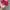 Chase Nascar Y2K Skater Hat Pria blue red photo 5
