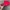Chase Nascar Y2K Skater Hat Pria blue red photo 3