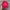 Chase Nascar Y2K Skater Hat Pria Blue Red