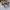Steve Madden Luxury Heels Wanita white photo 1