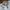 Steve Madden Luxury Heels Wanita white photo 8