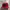 New Era Streetwear Sportswear Hat Pria red photo 3
