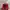 New Era Streetwear Sportswear Hat Pria Red