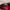 New Era Streetwear Sportswear Hat Pria red photo 6