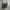New Era Streetwear Sportswear Hat Pria gray photo 1