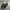 New Era Streetwear Sportswear Hat Pria gray photo 3