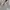 Polo Ralph Lauren Vintage Casual Track jacket Pria cream photo 8