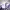 Vintage Puffer jacket Wanita purple photo 1