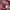 Vintage Casual Track jacket Pria burgundy photo 6