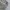 Vintage Casual Fleece Pria cream photo 5