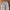 Champion Streetwear Sportswear Tracksuit Pria white gray photo 3
