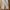 Champion Streetwear Sportswear Tracksuit Pria white gray photo 2