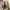 Dr. Martens Casual Boots Wanita brown photo 3
