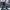True Religion Streetwear Y2K Flare pants Wanita multicolor photo 8
