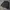 Zara Luxury Casual Suit Pria green black photo 1