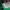 Japanese brand Biker Windbreaker Pria green photo 4