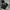 Dirty Business Y2K Casual Brief Pria black photo 1