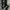 Dirty Business Y2K Casual Brief Pria black photo 2