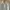 Missoni Vintage Casual Polo shirt Pria white photo 2