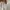Missoni Vintage Casual Polo shirt Pria white photo 5