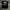 Von Dutch Grunge Biker T-shirt Pria black photo 5