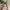 Marni Y2K Futurist Midi dress Wanita green photo 5