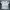 Champion Streetwear T-shirt Pria white black photo 1