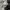 Dickies Streetwear Skater Casual pants Pria gray photo 5