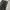 Dickies Streetwear Skater Casual pants Pria gray photo 4