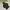 Topten Minimalist Windbreaker Kids black photo 8