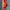 Nike Casual Sneakers Pria red orange photo 2
