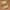 Filson Vintage Gorpcore Hat Pria Tan