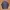 Nike Y2K Gorpcore Track jacket Pria blue photo 2