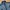Nike Y2K Gorpcore Track jacket Pria blue photo 3