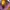 Nike Luxury Sneakers Pria purple yellow photo 1
