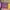 Nike Luxury Sneakers Pria purple yellow photo 5