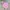Polham Minimalist Windbreaker Kids pink photo 5