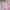 Polham Minimalist Windbreaker Kids pink photo 7