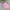 Polham Minimalist Windbreaker Kids Pink