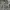 Vintage Windbreaker Pria gray cream photo 4