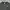 Nike Streetwear Sweatshirt Pria gray photo 4