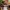 Timberland Casual Sneakers Pria tan brown photo 7