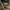 Timberland Gorpcore Casual Boots Pria cream tan photo 5